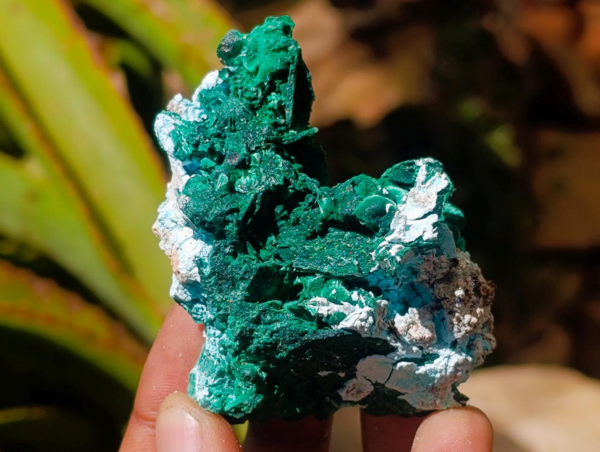 Natural Rare Malachite Pseudomorph Specimens x 6 From Kolwezi, Congo