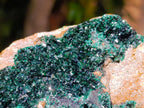 Natural XL Crystalline Malachite Specimen x 1 From Tenke Fungurume, Congo