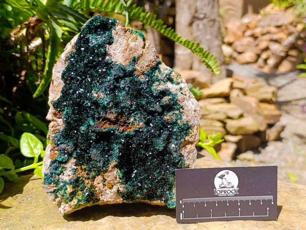Natural XL Crystalline Malachite Specimen x 1 From Tenke Fungurume, Congo