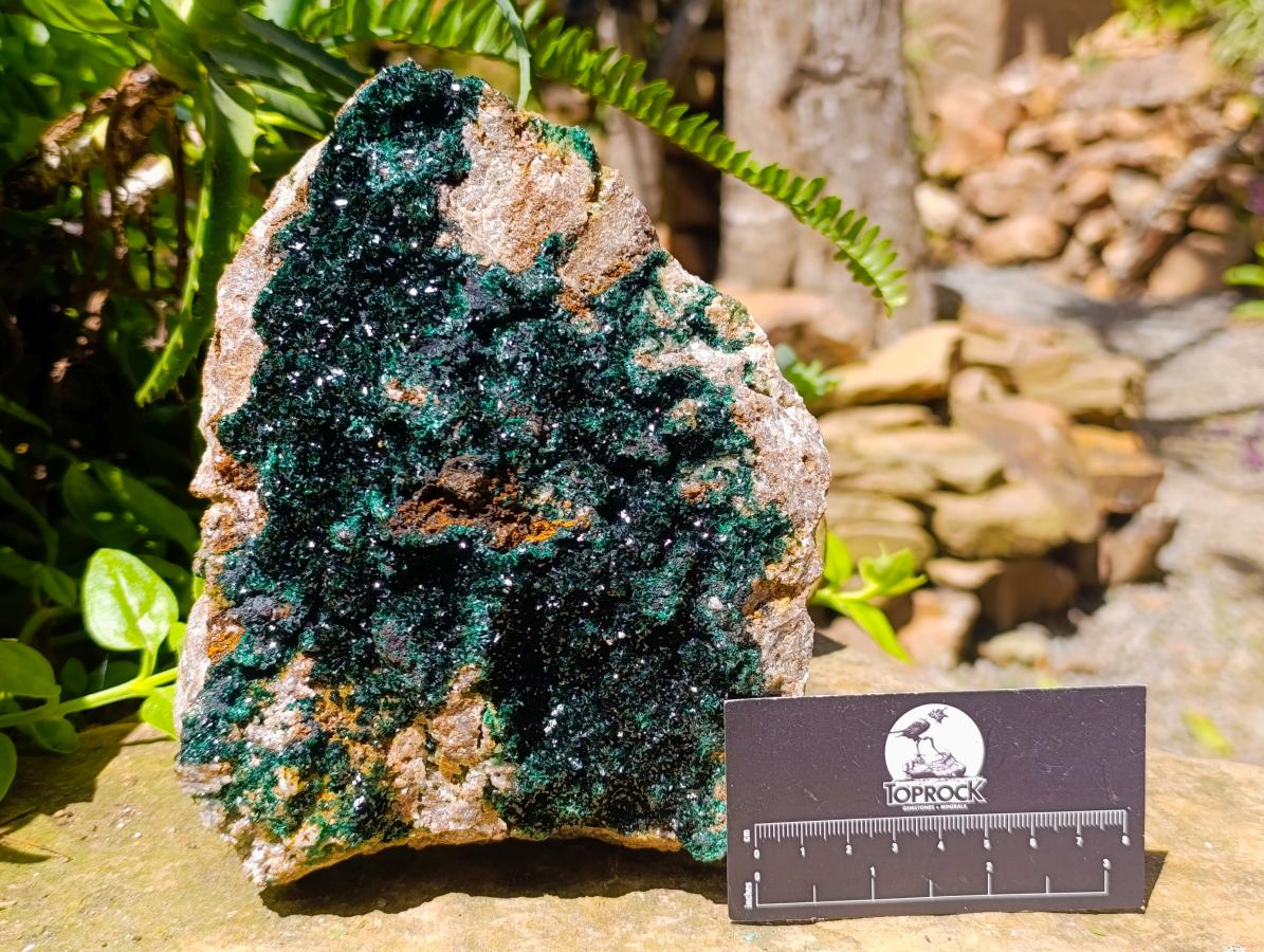 Natural XL Crystalline Malachite Specimen x 1 From Tenke Fungurume, Congo