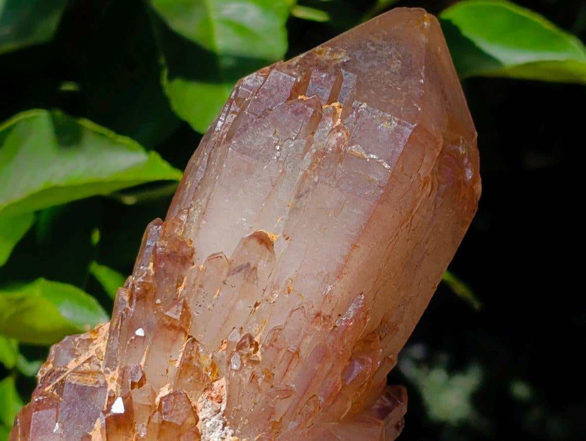 Natural Red Hematoid Quartz Crystals and Clusters x 3 From Karoi, Zimbabwe