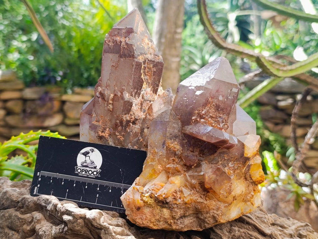 Natural Red Hematoid Quartz Crystals and Clusters x 3 From Karoi, Zimbabwe