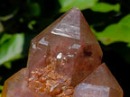 Natural Red Hematoid Quartz Crystals and Clusters x 3 From Karoi, Zimbabwe