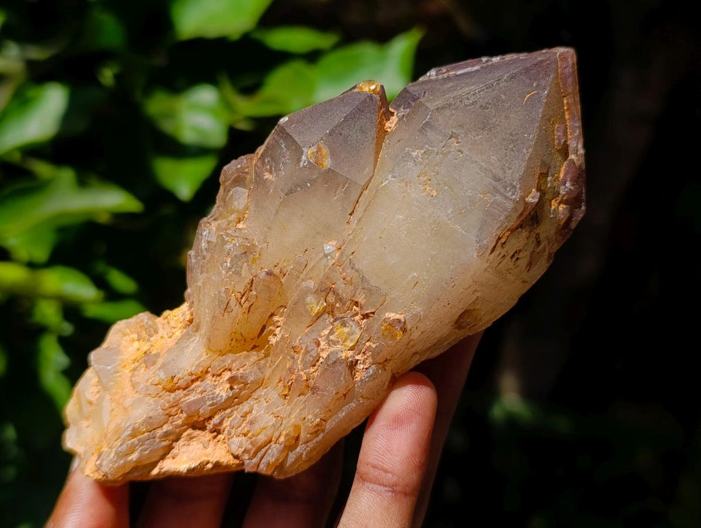 Natural Red Hematoid Quartz Crystals and Clusters x 3 From Karoi, Zimbabwe