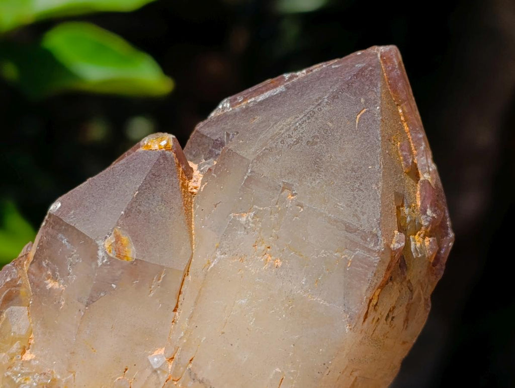 Natural Red Hematoid Quartz Crystals and Clusters x 3 From Karoi, Zimbabwe