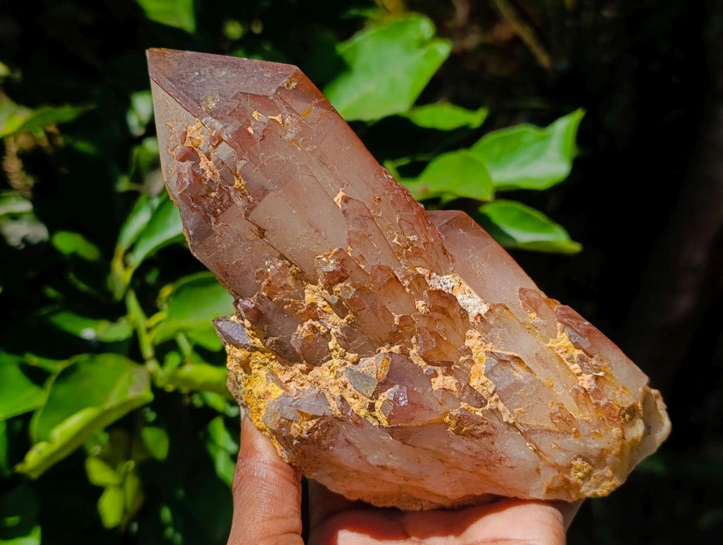 Natural Red Hematoid Quartz Crystals and Clusters x 3 From Karoi, Zimbabwe