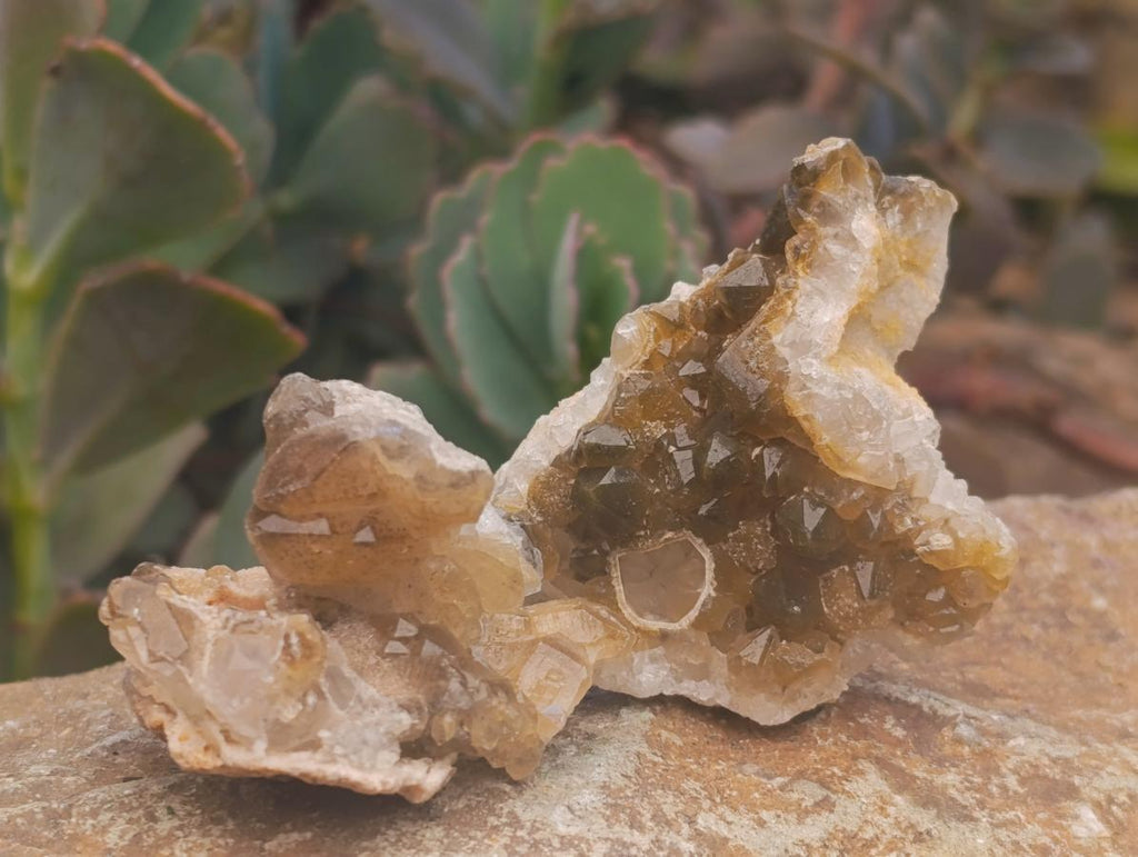 Natural Small Limonite Quartz Clusters x 70 From Solwezi, Zambia