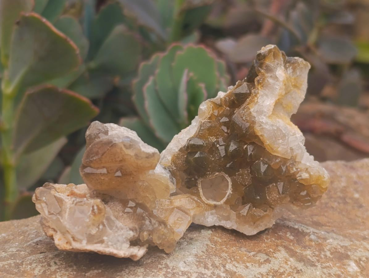 Natural Small Limonite Quartz Clusters x 70 From Solwezi, Zambia