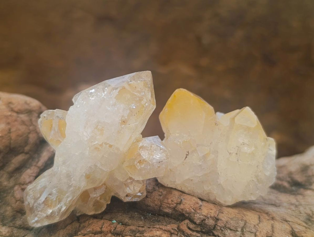 Natural Small Limonite Quartz Clusters x 70 From Solwezi, Zambia