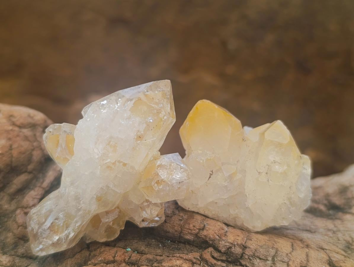 Natural Small Limonite Quartz Clusters x 70 From Solwezi, Zambia