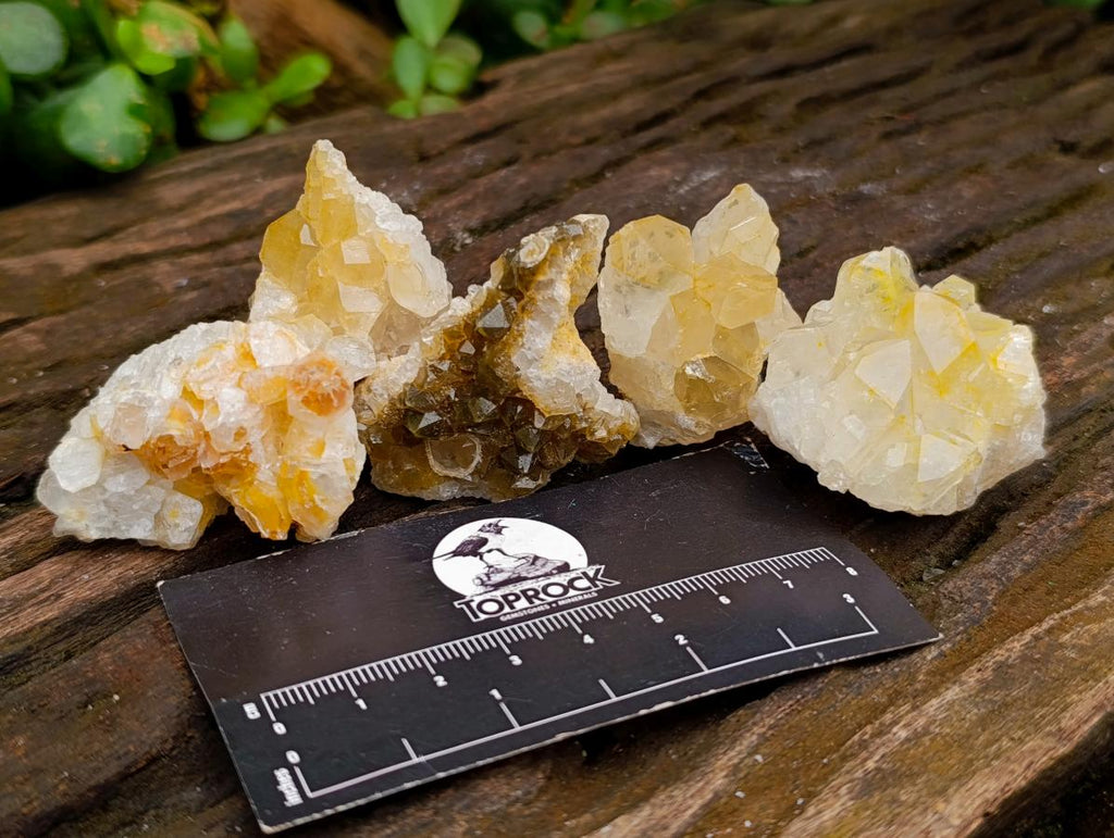 Natural Small Limonite Quartz Clusters x 70 From Solwezi, Zambia