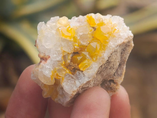 Natural Small Limonite Quartz Clusters x 70 From Solwezi, Zambia
