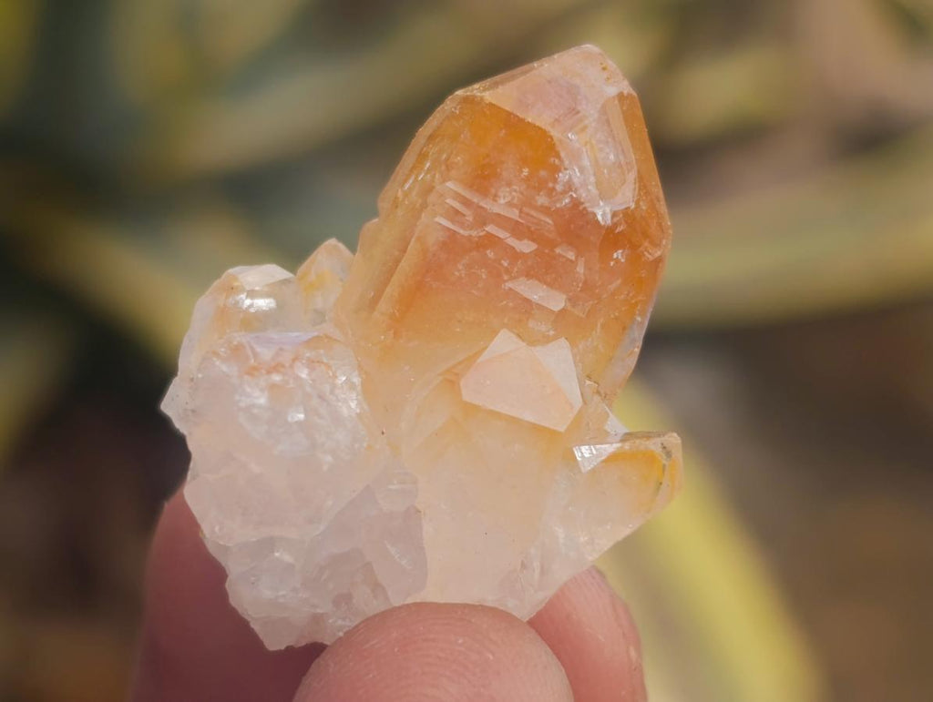 Natural Small Limonite Quartz Clusters x 70 From Solwezi, Zambia