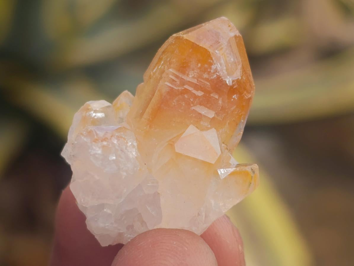 Natural Small Limonite Quartz Clusters x 70 From Solwezi, Zambia