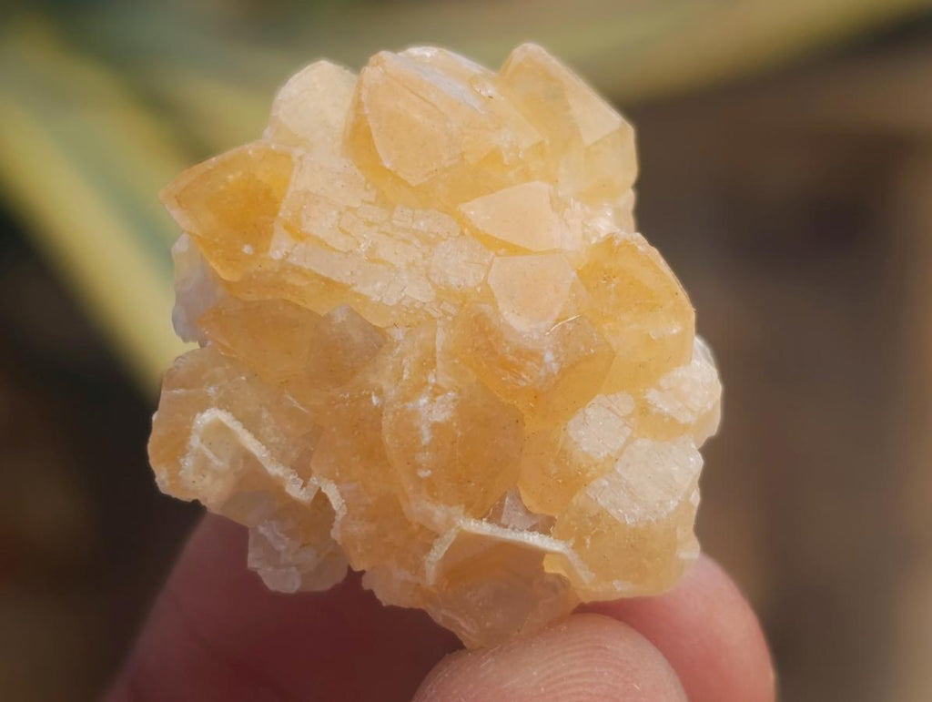 Natural Small Limonite Quartz Clusters x 70 From Solwezi, Zambia