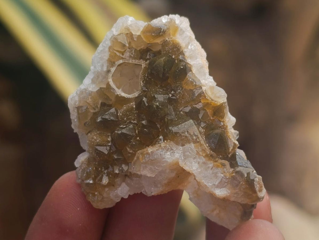 Natural Small Limonite Quartz Clusters x 70 From Solwezi, Zambia