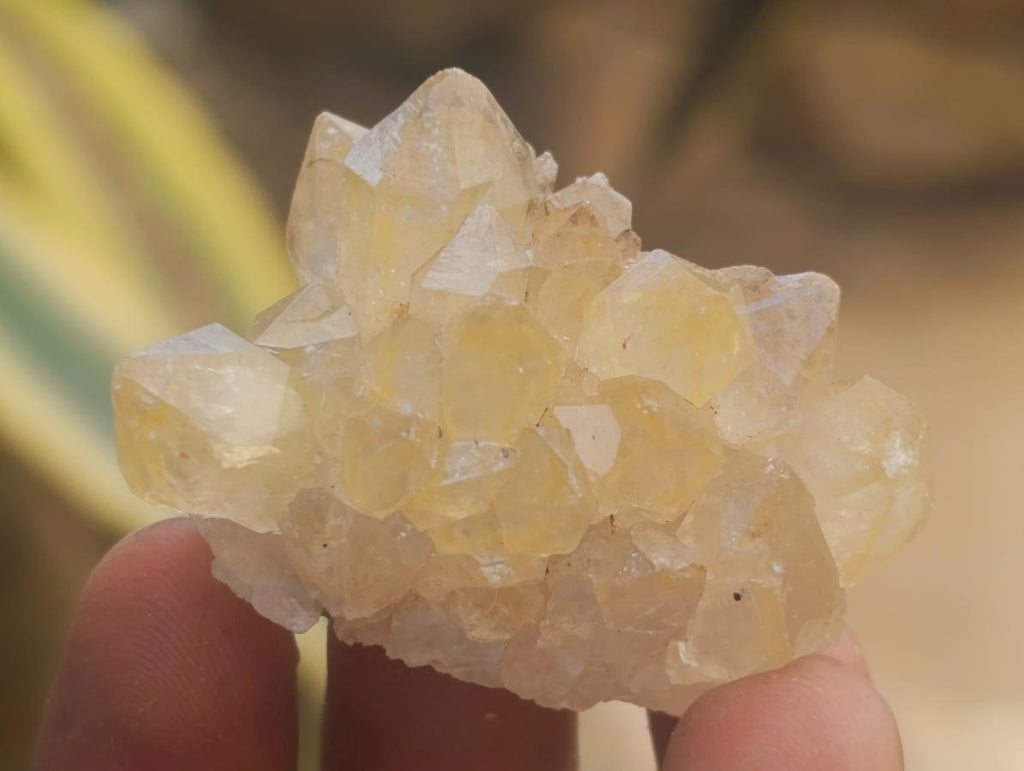 Natural Small Limonite Quartz Clusters x 70 From Solwezi, Zambia