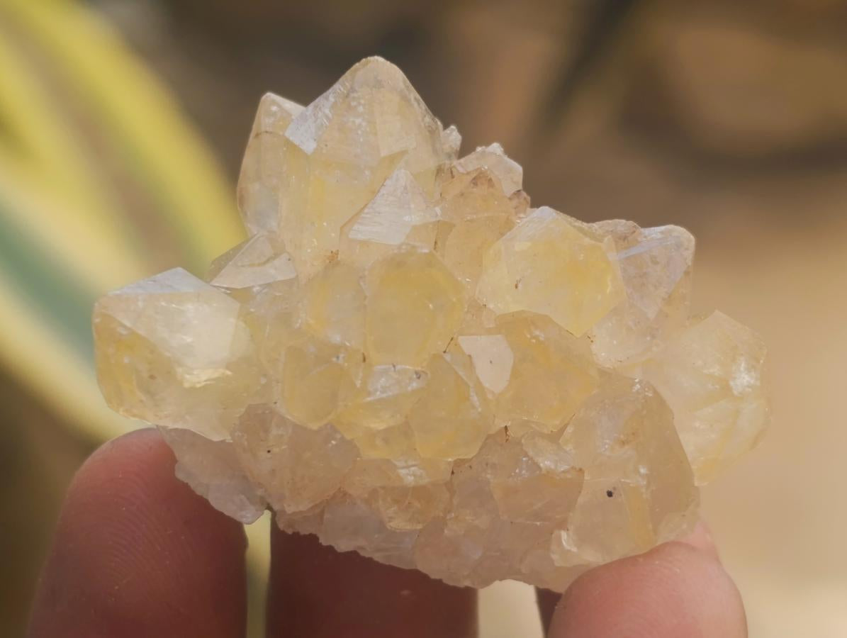 Natural Small Limonite Quartz Clusters x 70 From Solwezi, Zambia