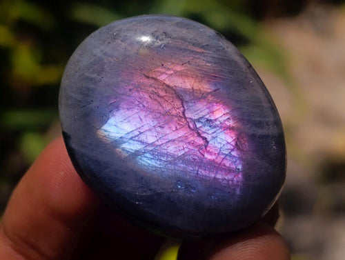 Polished Rare Purple Sunset Flash Labradorite Free Forms x 45 From Madagascar