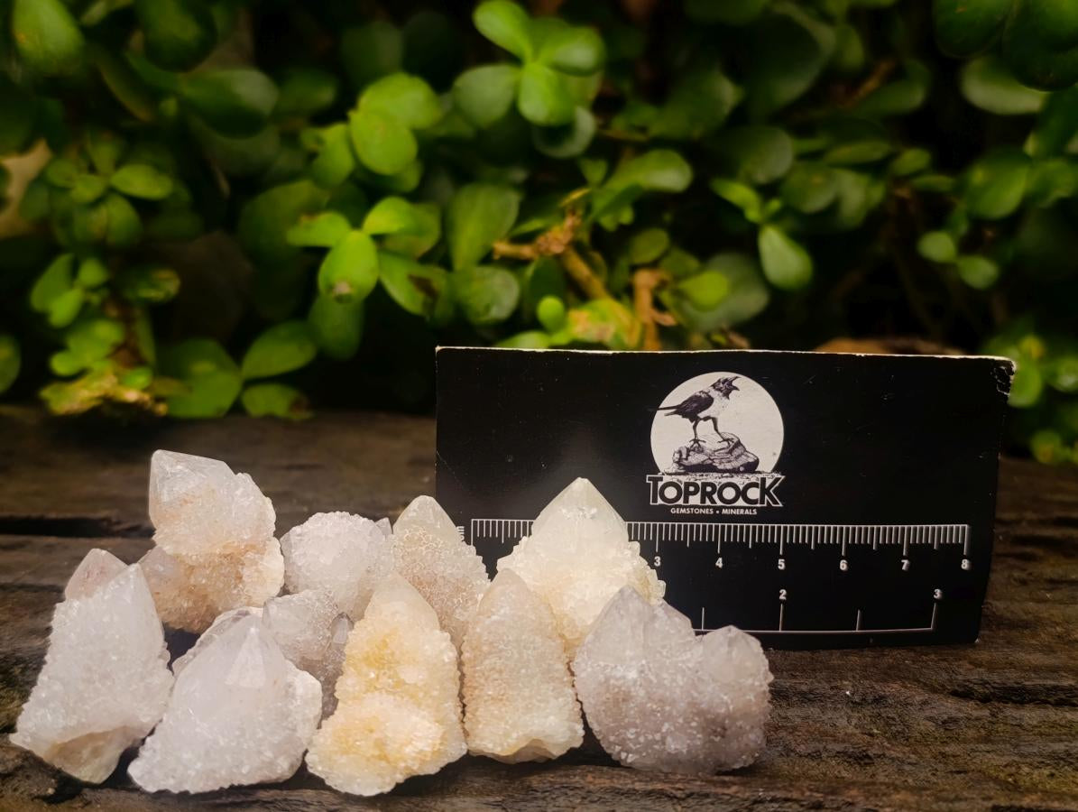 Natural White Spirit Quartz Crystals and Clusters x 70 From Boekenhouthoek, South Africa