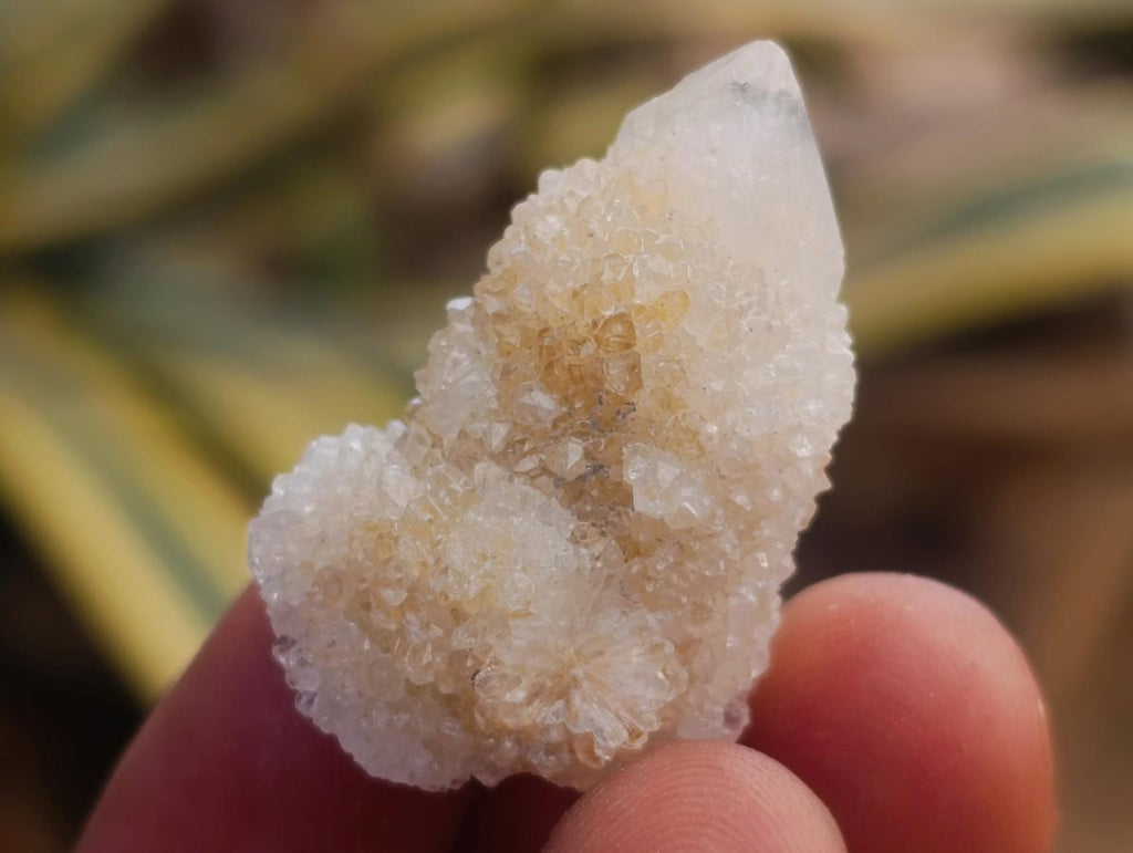 Natural White Spirit Quartz Crystals and Clusters x 70 From Boekenhouthoek, South Africa