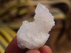 Natural White Spirit Quartz Crystals and Clusters x 70 From Boekenhouthoek, South Africa