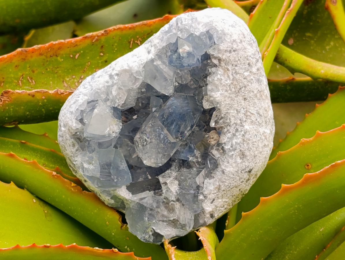 Natural Blue Celestite Cluster Specimens x 3 From Sakoany, Madagascar