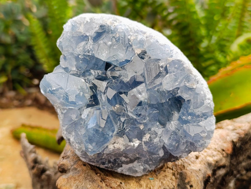 Natural Blue Celestite Cluster Specimens x 3 From Sakoany, Madagascar