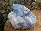 Natural Blue Celestite Cluster Specimens x 3 From Sakoany, Madagascar