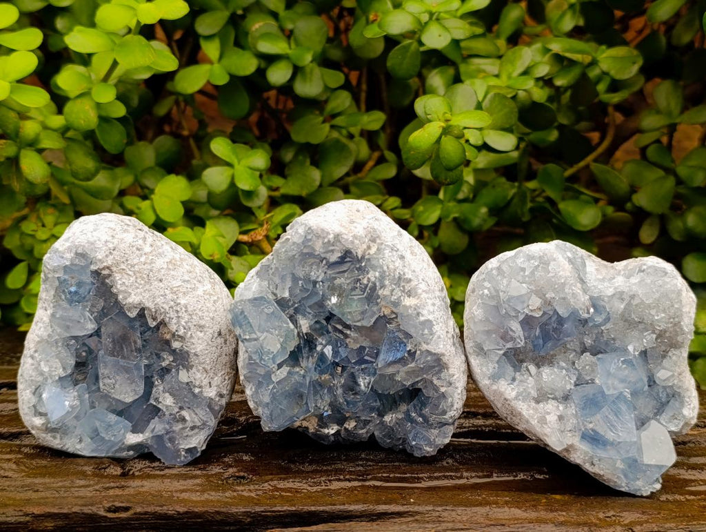 Natural Blue Celestite Cluster Specimens x 3 From Sakoany, Madagascar