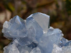 Natural Blue Celestite Cluster Specimens x 3 From Sakoany, Madagascar