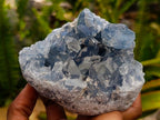 Natural Blue Celestite Cluster Specimens x 3 From Sakoany, Madagascar
