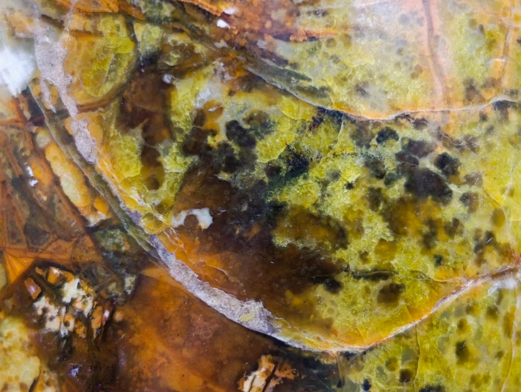 Polished Green Opal Standing Free Forms x 2 From Betroka, Madagascar