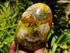 Polished Green Opal Standing Free Forms x 2 From Betroka, Madagascar