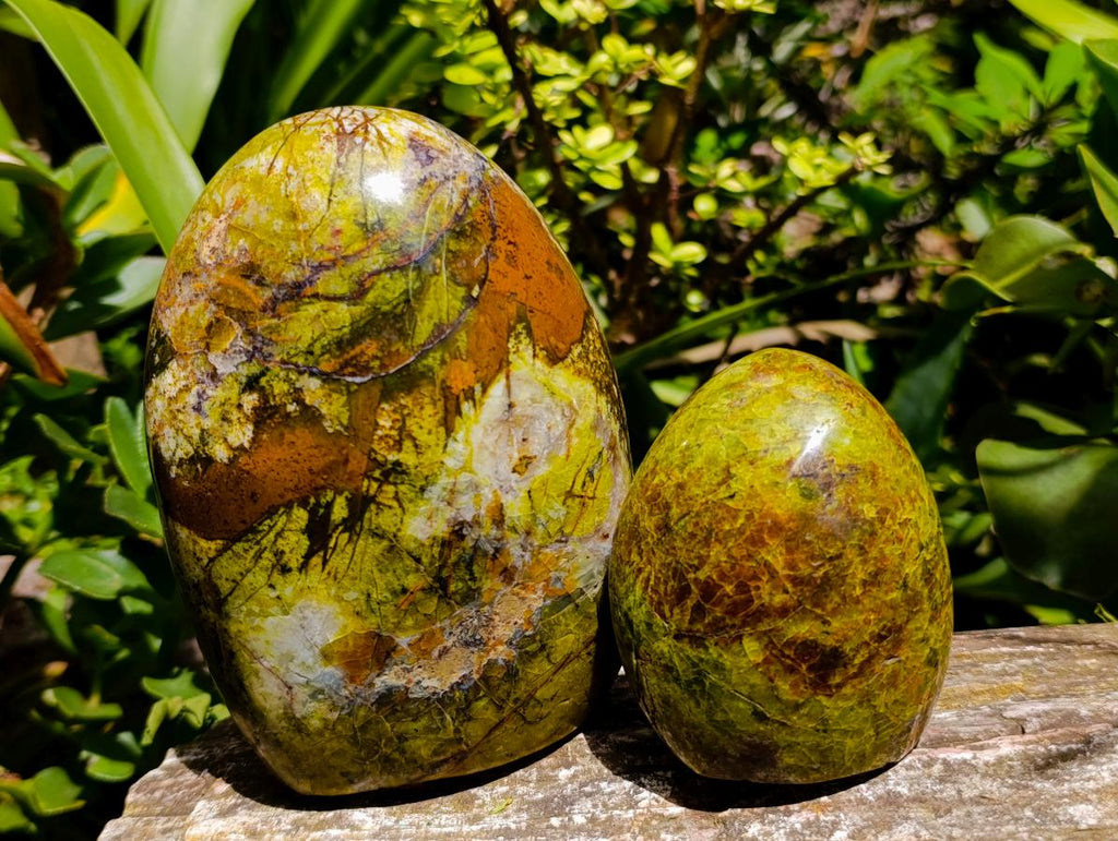 Polished Green Opal Standing Free Forms x 2 From Betroka, Madagascar