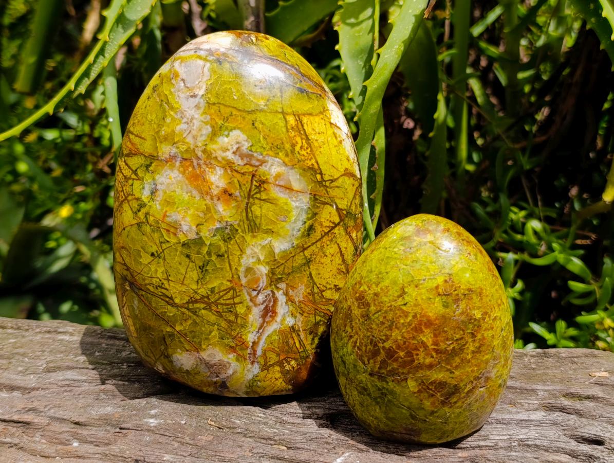 Polished Green Opal Standing Free Forms x 2 From Betroka, Madagascar