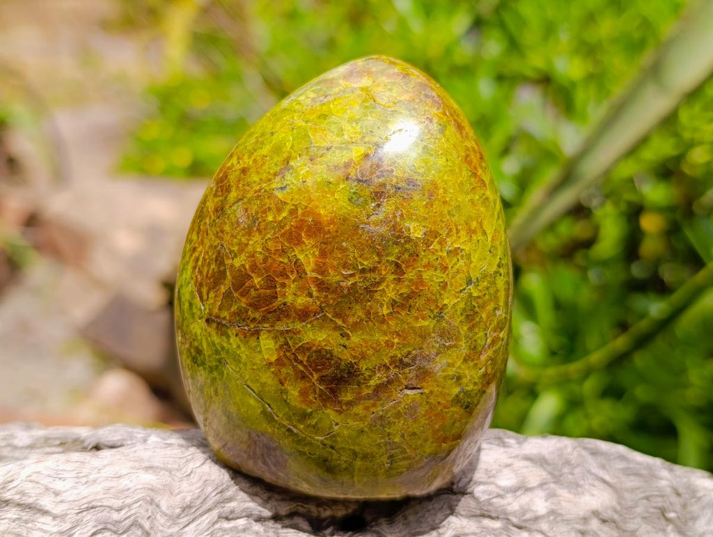 Polished Green Opal Standing Free Forms x 2 From Betroka, Madagascar