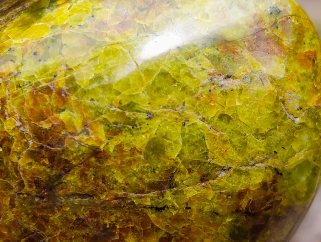 Polished Green Opal Standing Free Forms x 2 From Betroka, Madagascar