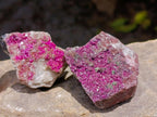 Natural Salrose Cobaltion Dolomite Specimens with Silky Malachite Crystals x 12 From Kakanda, Congo