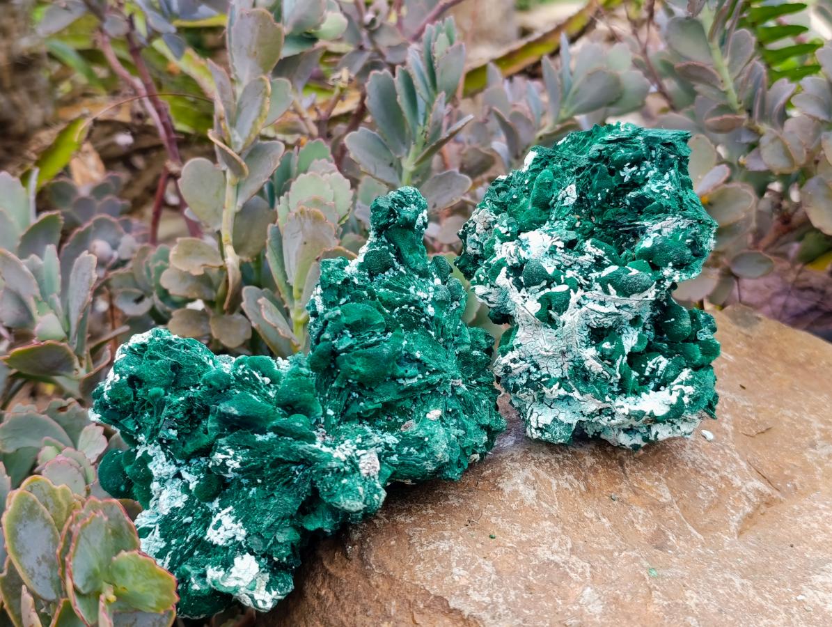 Natural Rare Malachite Pseudomorph Specimens x 2 From Kolwezi, Congo