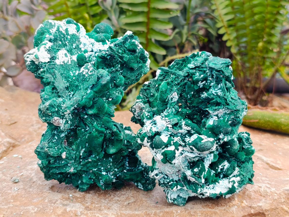 Natural Rare Malachite Pseudomorph Specimens x 2 From Kolwezi, Congo