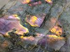 Polished Large Rare Purple Sunset Flash Labradorite Standing Free Form x 1 From Madagascar