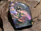 Polished Large Rare Purple Sunset Flash Labradorite Standing Free Form x 1 From Madagascar