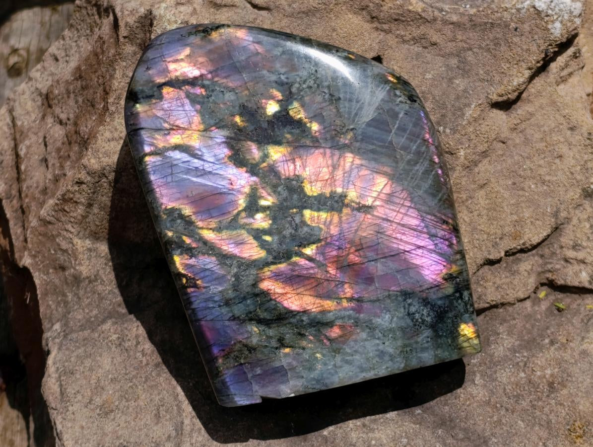 Polished Large Rare Purple Sunset Flash Labradorite Standing Free Form x 1 From Madagascar