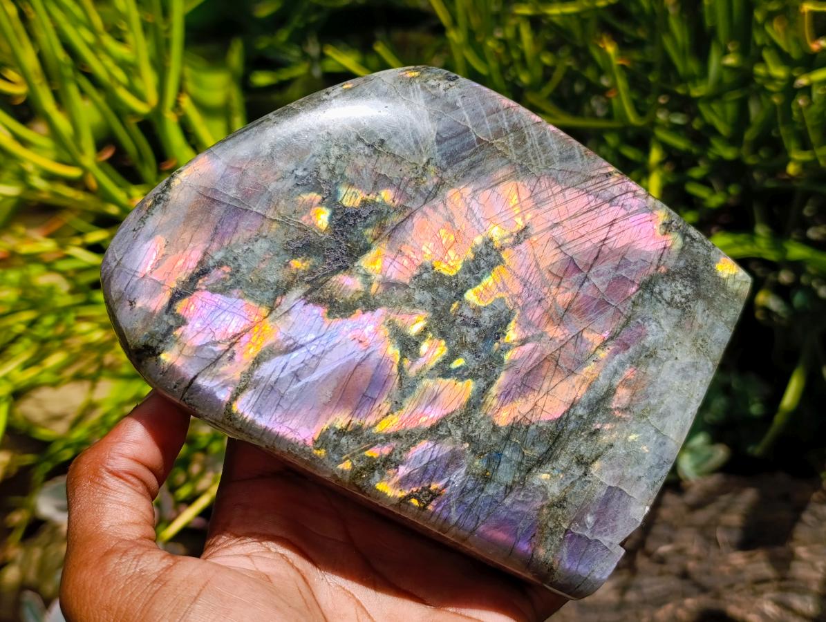 Polished Large Rare Purple Sunset Flash Labradorite Standing Free Form x 1 From Madagascar