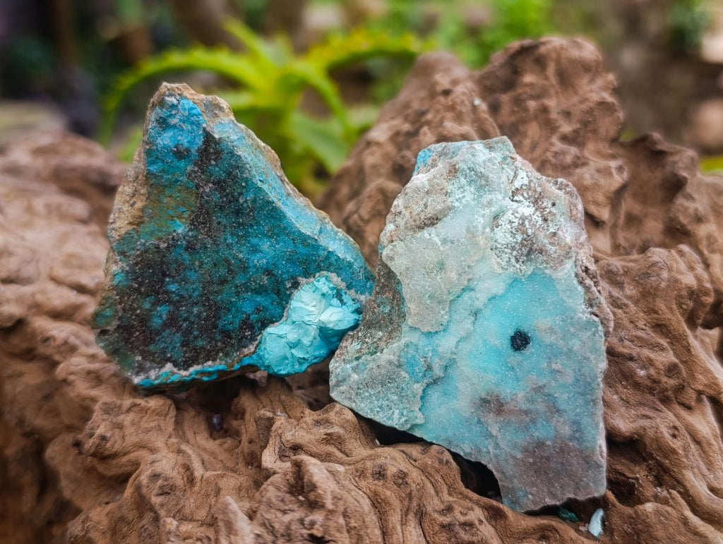 Natural Drusy Chrysocolla with Malachite Specimens x 12 From Kolwezi, Congo