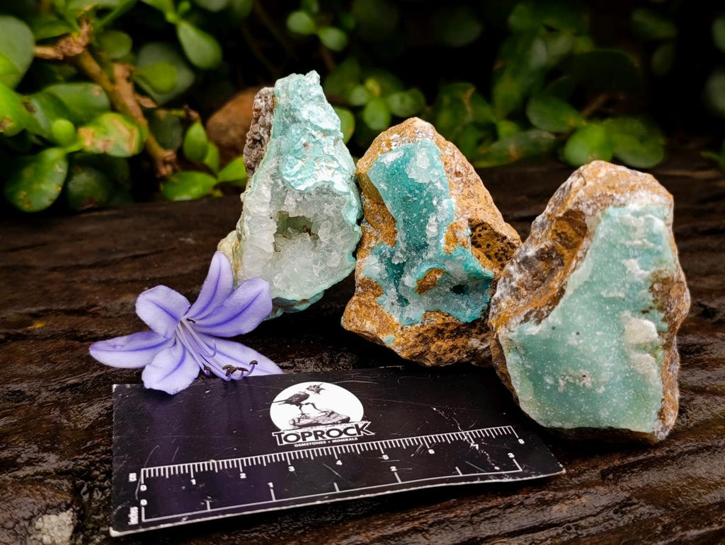 Natural Drusy Chrysocolla with Malachite Specimens x 12 From Kolwezi, Congo