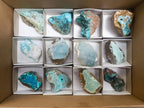 Natural Drusy Chrysocolla with Malachite Specimens x 12 From Kolwezi, Congo