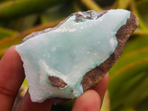 Natural Drusy Chrysocolla with Malachite Specimens x 12 From Kolwezi, Congo