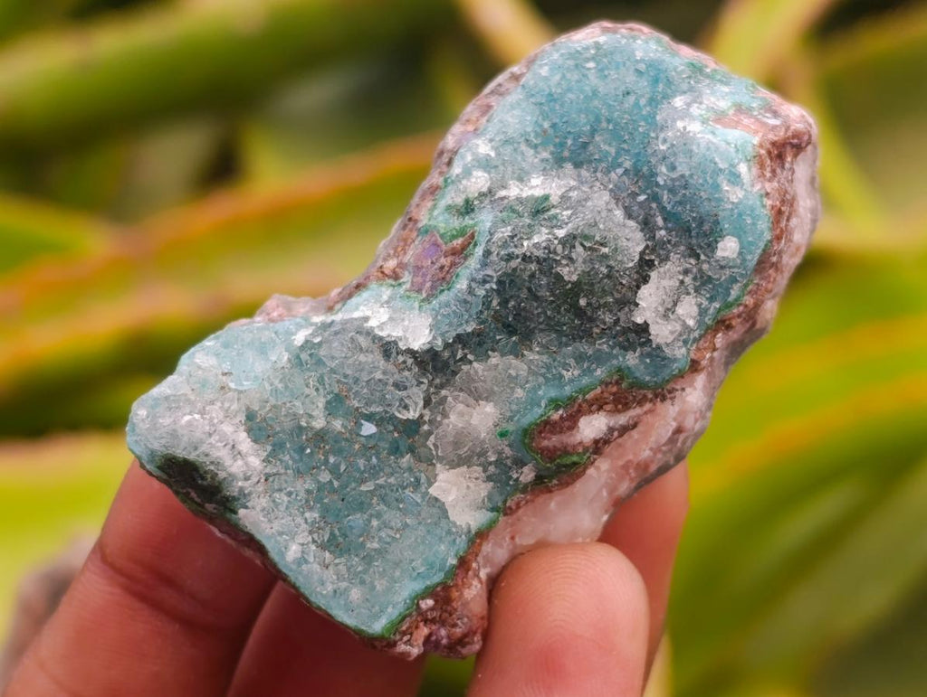 Natural Drusy Chrysocolla with Malachite Specimens x 12 From Kolwezi, Congo